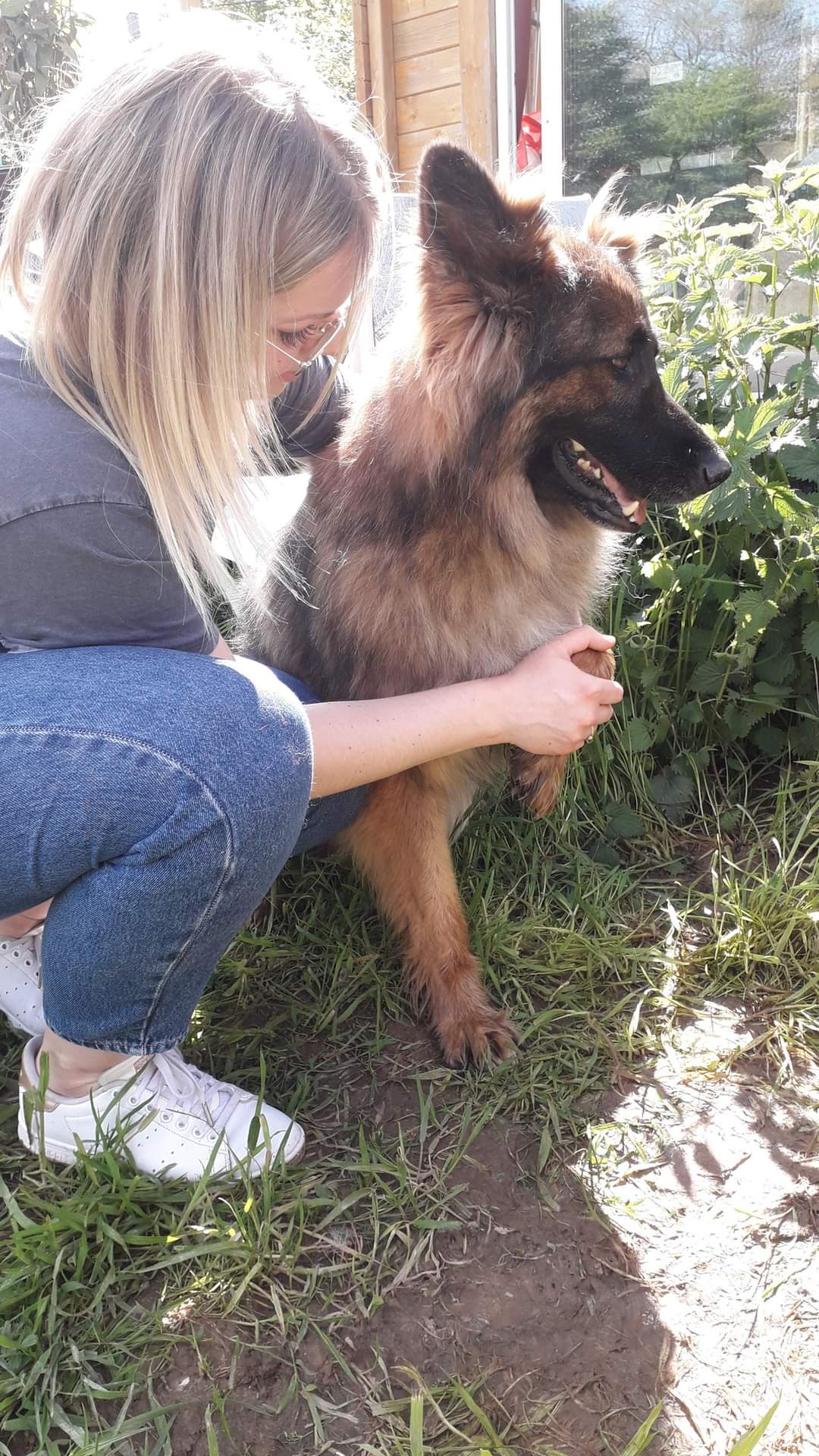 Mathilde Bornowski, ostéopathe pour animaux, avec un chien de type berger belge.