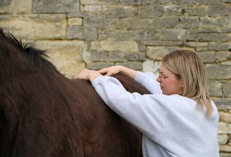 Mathilde Bornowski, ostéopathe pour animaux, manipulant un cheval